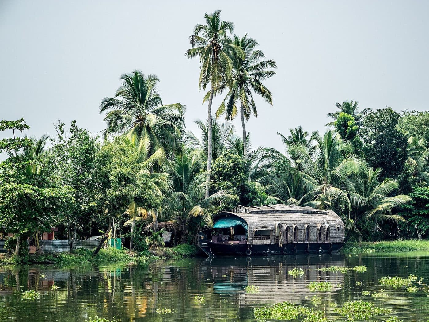 A houseboat moored under coconut palms on the Alleppey backwaters, Kerala