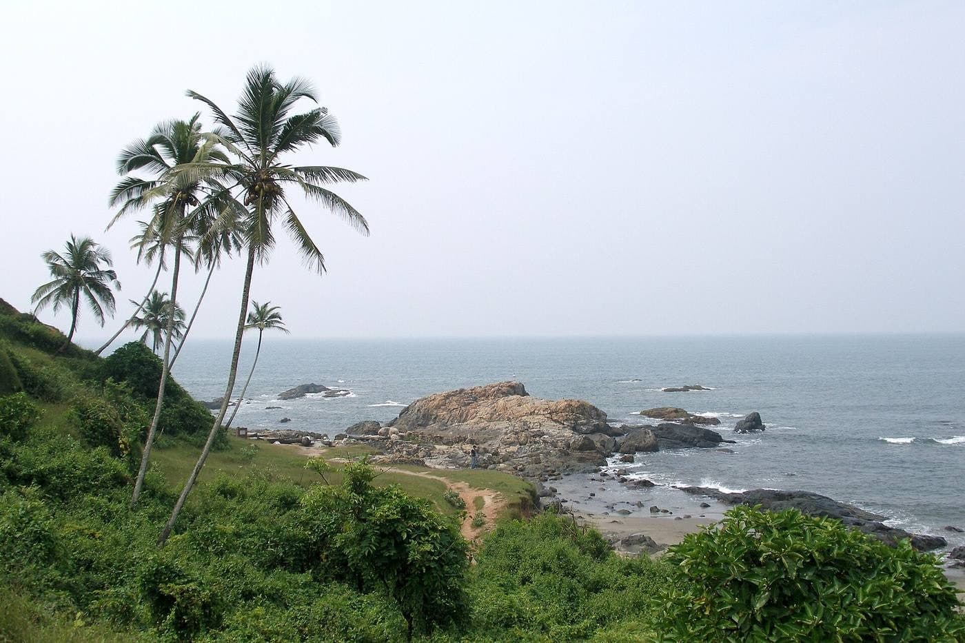 Coconut palms leaning over Vagator beach